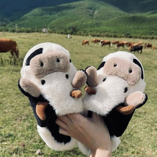 Cow Slippers